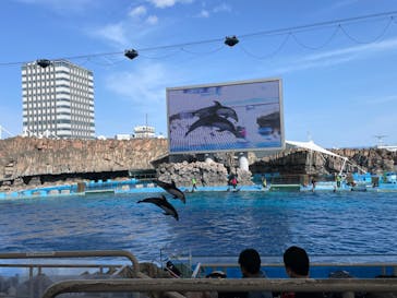 名古屋港水族館に投稿された画像（2022/3/21）