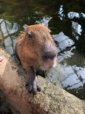 神戸どうぶつ王国に投稿された画像（2022/3/21）