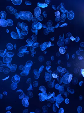 すみだ水族館に投稿された画像（2022/3/21）