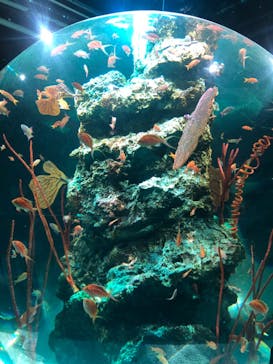 felissimo chocolate museum（フェリシモチョコレートミュージアム）に投稿された画像（2022/3/21）