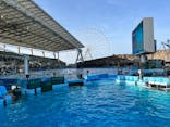 名古屋港水族館に投稿された画像（2022/3/21）