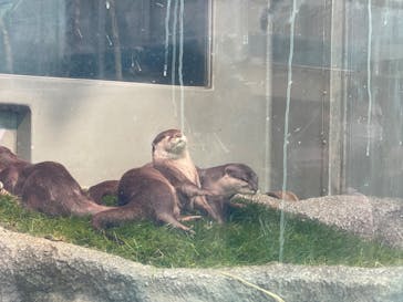 サンシャイン水族館に投稿された画像（2022/3/21）