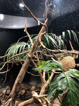 カワスイ 川崎⽔族館に投稿された画像（2022/3/21）