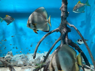 サンシャイン水族館に投稿された画像（2022/3/21）