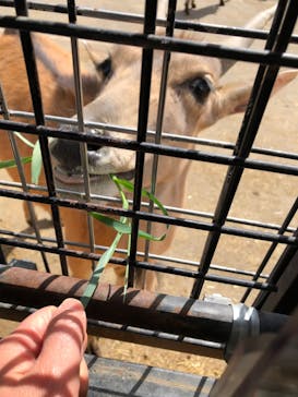 群馬サファリパークに投稿された画像（2022/3/21）