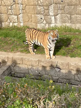 天王寺動物園に投稿された画像（2022/3/21）