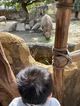 天王寺動物園に投稿された画像（2022/3/21）