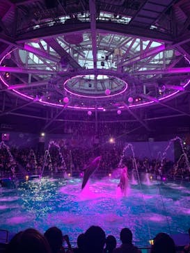 マクセル アクアパーク品川に投稿された画像（2022/3/21）