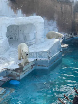 天王寺動物園に投稿された画像（2022/3/21）