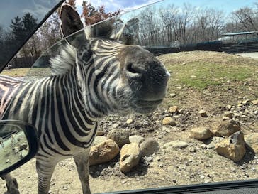 那須サファリパークに投稿された画像（2022/3/21）