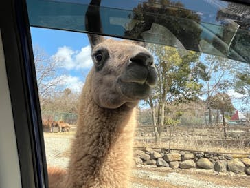 那須サファリパークに投稿された画像（2022/3/21）