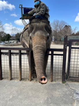 那須サファリパークに投稿された画像（2022/3/21）