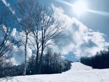 パインビークスキー場に投稿された画像（2022/3/21）