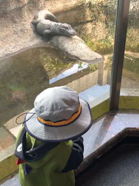 天王寺動物園に投稿された画像（2022/3/21）