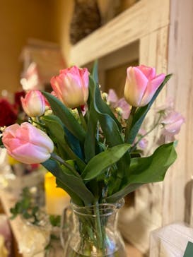 南知多ビーチランド＆南知多おもちゃ王国に投稿された画像（2022/3/21）