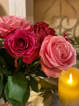 南知多ビーチランド＆南知多おもちゃ王国に投稿された画像（2022/3/21）