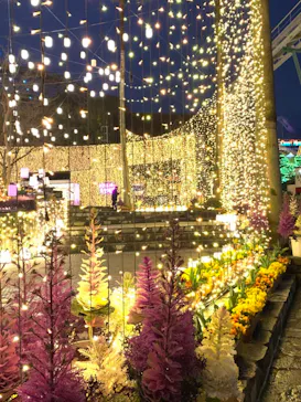 ひらかたパークに投稿された画像（2022/3/21）