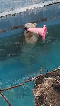 天王寺動物園に投稿された画像（2022/3/21）