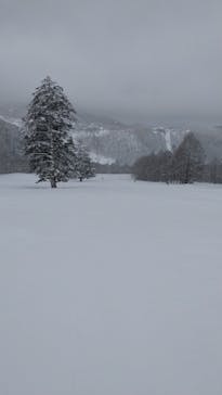 志賀高原中央エリアスキー場に投稿された画像（2022/3/21）