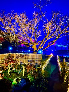 せんだい農業園芸センター　みどりの杜に投稿された画像（2022/3/21）