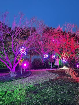 せんだい農業園芸センター　みどりの杜に投稿された画像（2022/3/21）