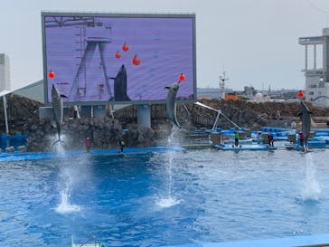 名古屋港水族館に投稿された画像（2022/3/21）