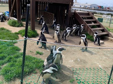 名古屋港水族館に投稿された画像（2022/3/21）