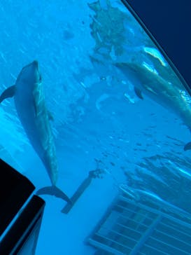 名古屋港水族館に投稿された画像（2022/3/21）