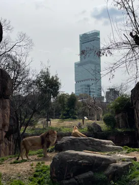天王寺動物園に投稿された画像（2022/3/21）