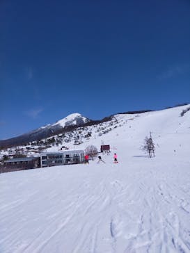 白樺湖ロイヤルヒルに投稿された画像（2022/3/21）