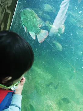 天王寺動物園に投稿された画像（2022/3/21）