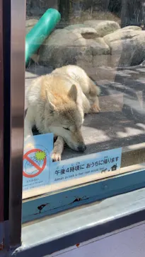 天王寺動物園に投稿された画像（2022/3/21）