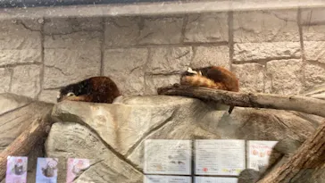 天王寺動物園に投稿された画像（2022/3/21）