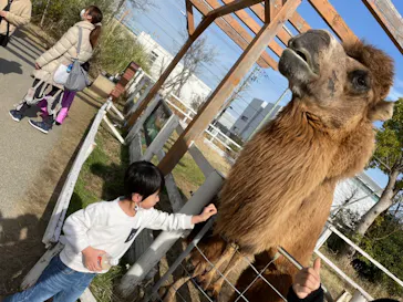 神戸どうぶつ王国に投稿された画像（2022/3/21）