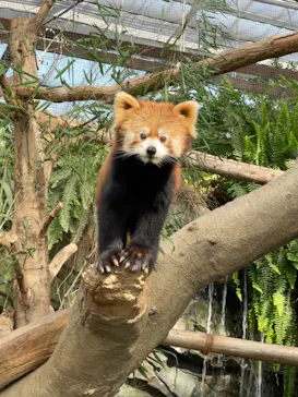 神戸どうぶつ王国に投稿された画像（2022/3/21）