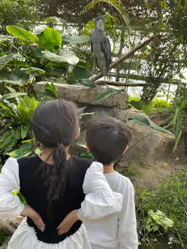 神戸どうぶつ王国に投稿された画像（2022/3/21）