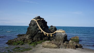 ゼロ距離水族館 伊勢シーパラダイスに投稿された画像（2022/3/21）