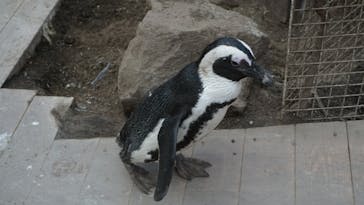 ゼロ距離水族館 伊勢シーパラダイスに投稿された画像（2022/3/21）