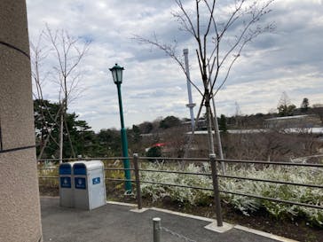 西武園ゆうえんちに投稿された画像（2022/3/21）