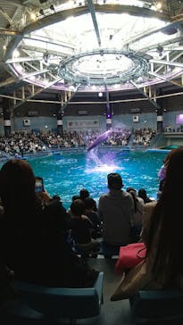 マクセル アクアパーク品川に投稿された画像（2022/3/21）