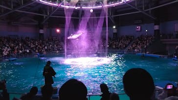 マクセル アクアパーク品川に投稿された画像（2022/3/21）