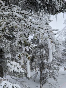 志賀高原マウンテンリゾートに投稿された画像（2022/3/21）