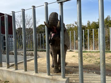 しろとり動物園に投稿された画像（2022/3/21）