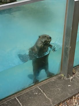 東武動物公園に投稿された画像（2022/3/21）