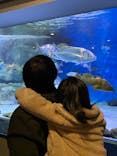 名古屋港水族館に投稿された画像（2022/3/21）