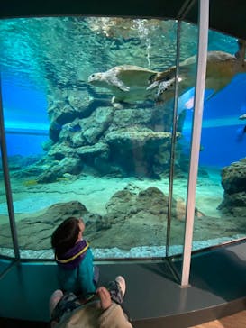 名古屋港水族館に投稿された画像（2022/3/21）