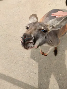 神戸どうぶつ王国に投稿された画像（2022/3/21）