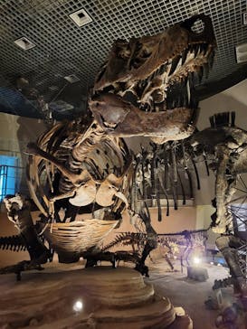国立科学博物館に投稿された画像（2022/3/21）