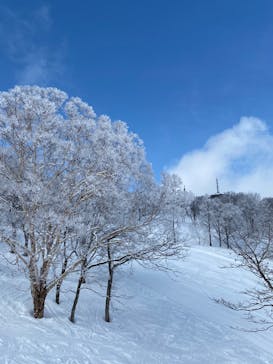 野沢温泉スキー場に投稿された画像（2022/3/21）