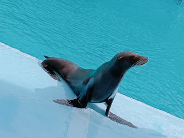 南知多ビーチランド＆南知多おもちゃ王国に投稿された画像（2022/3/21）